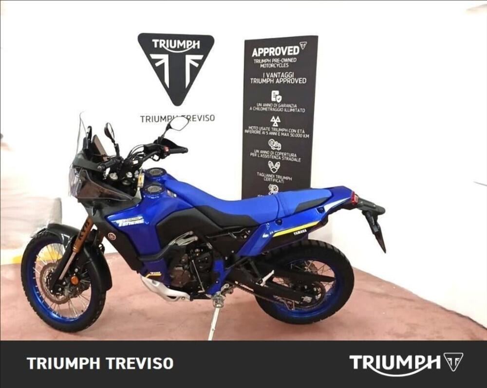 Yamaha Ténéré 700 World Raid (2022 - 25) (2)