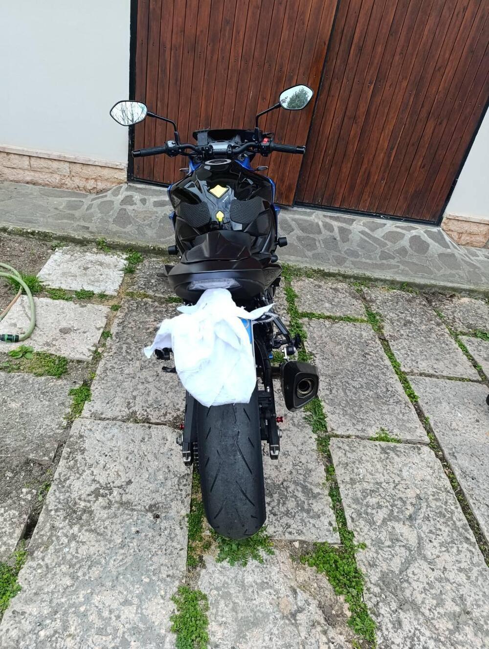 Suzuki GSX S 750 Yugen (2018 - 20) (8)