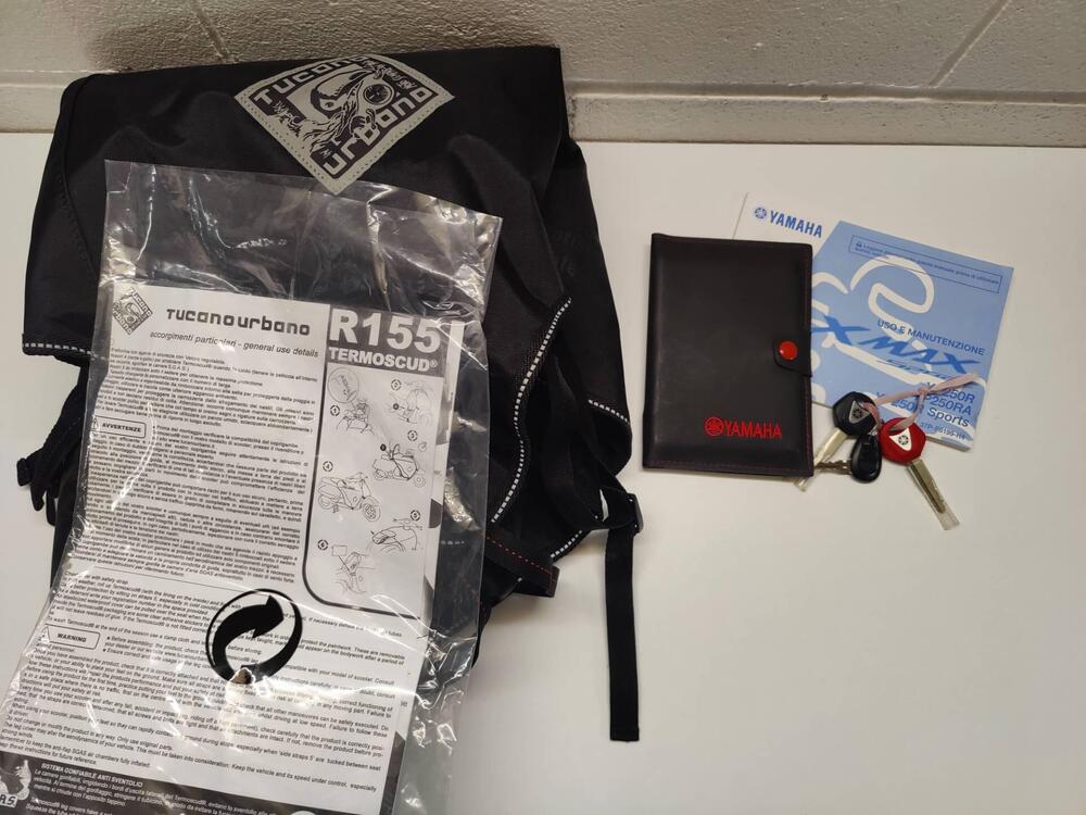 Yamaha X-Max 250 (2010 - 13) (6)