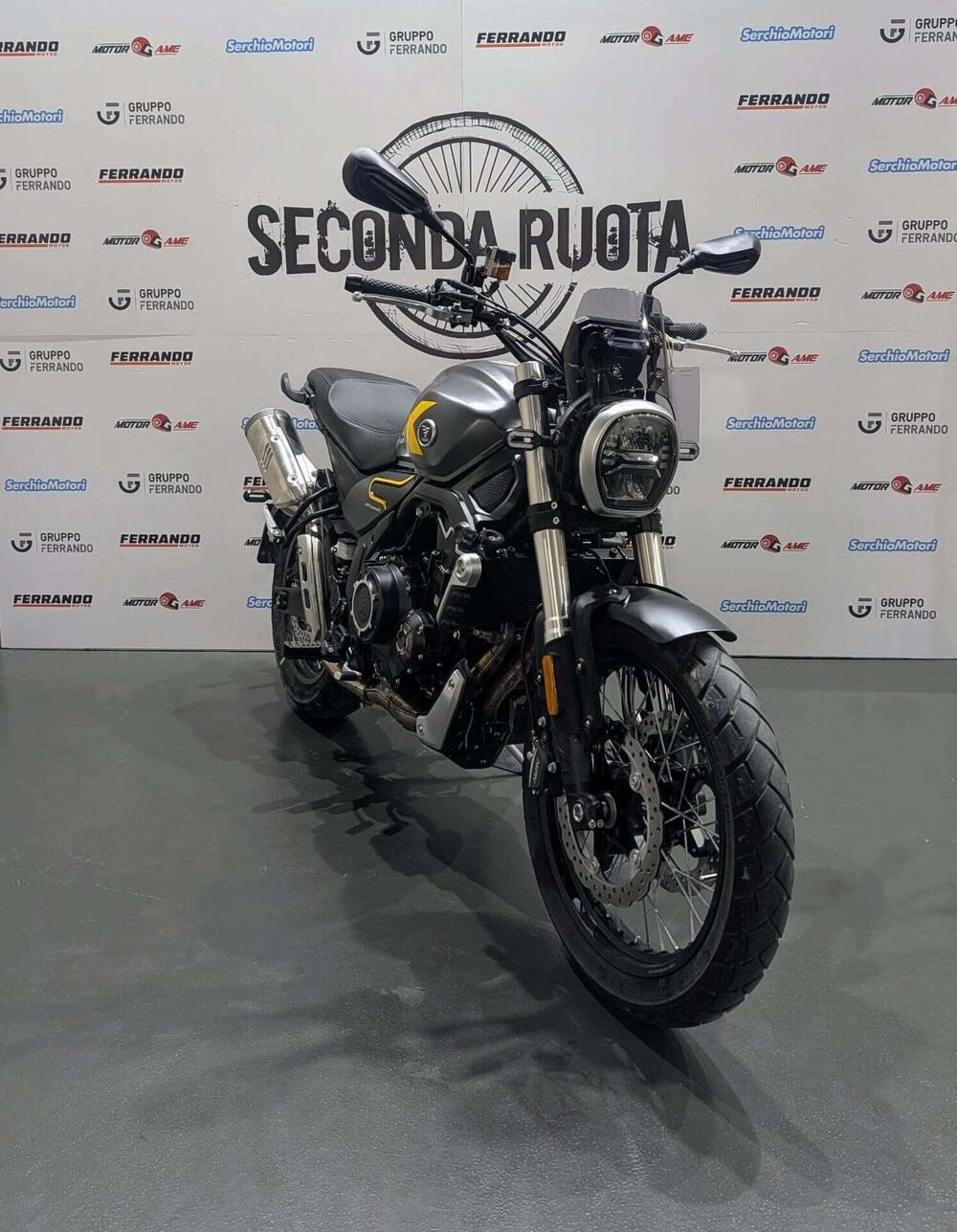 Voge Trofeo 525ACX Scrambler (2023 - 26) (2)