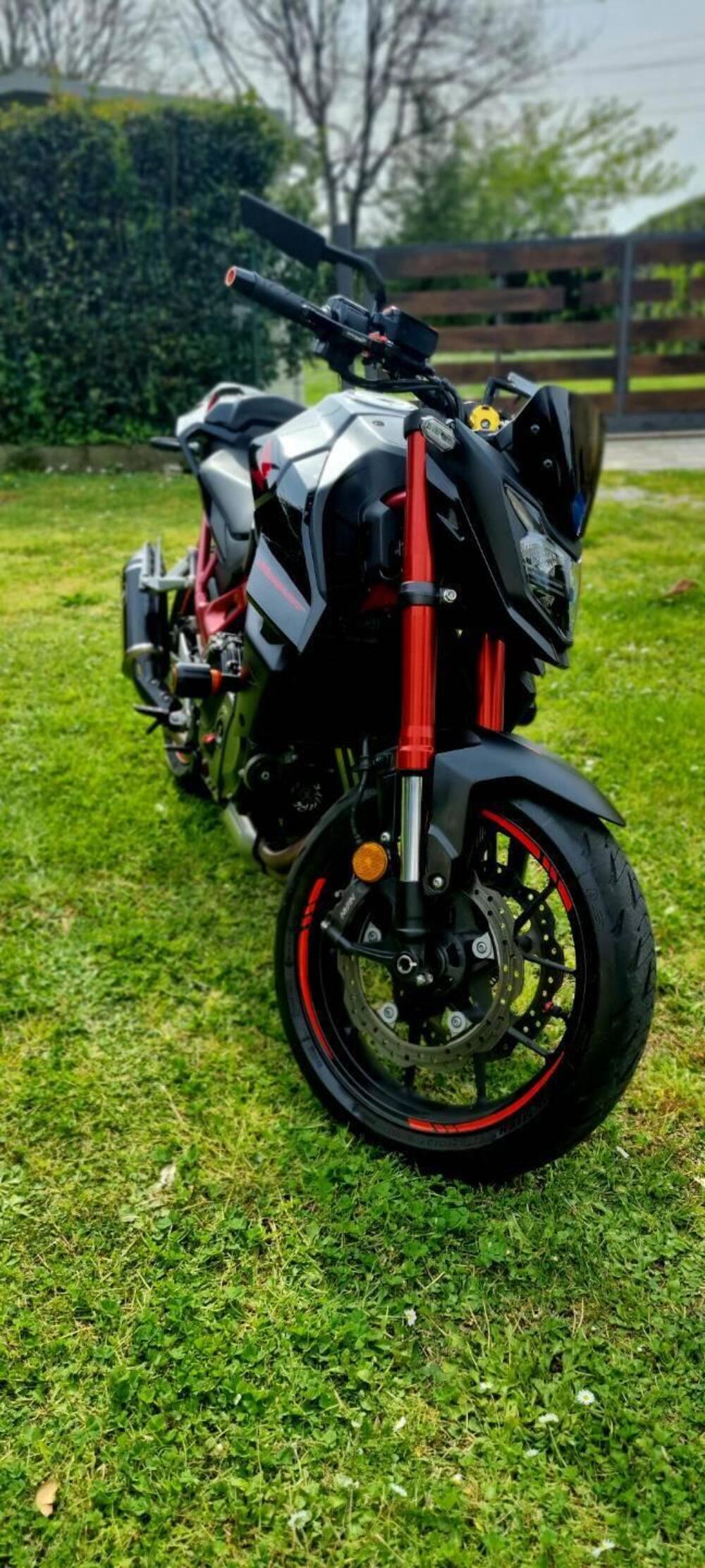 Honda CB 750 Hornet (2023 - 24) (11)