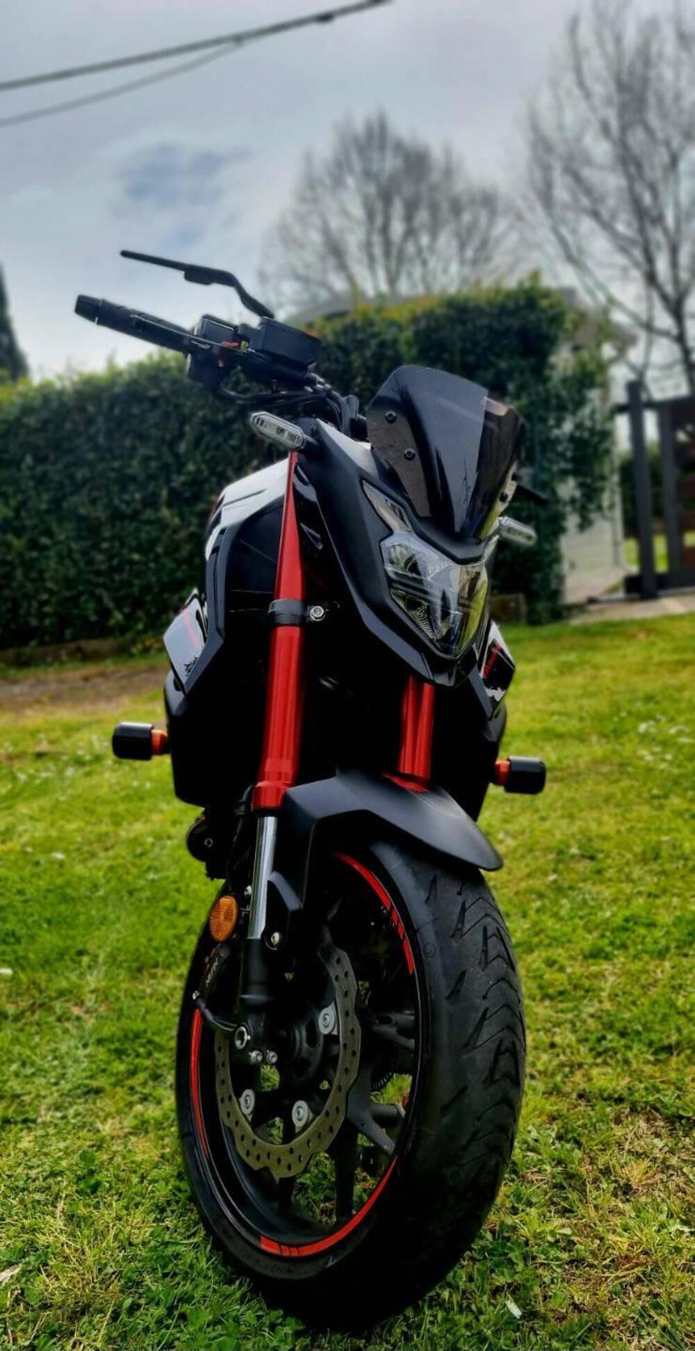 Honda CB 750 Hornet (2023 - 24) (13)