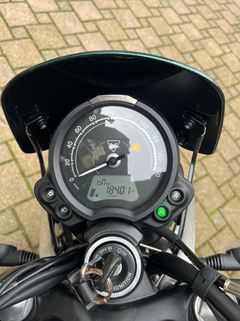 Triumph Speed Twin 900 (2023 - 24) (3)