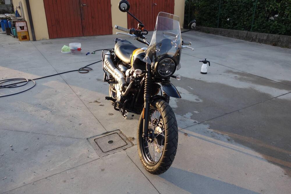 Triumph Street Scrambler 900 (2017 - 18) (11)