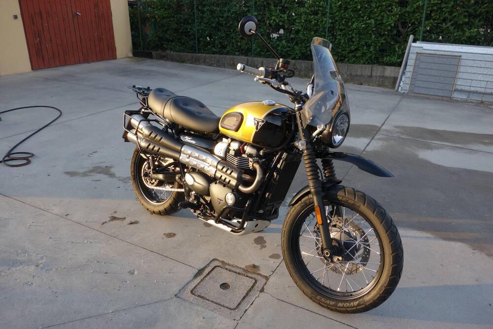 Triumph Street Scrambler 900 (2017 - 18)