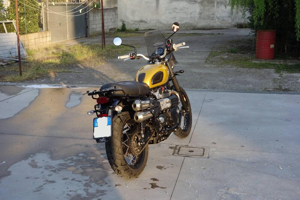 Triumph Street Scrambler 900 (2017 - 18) (8)