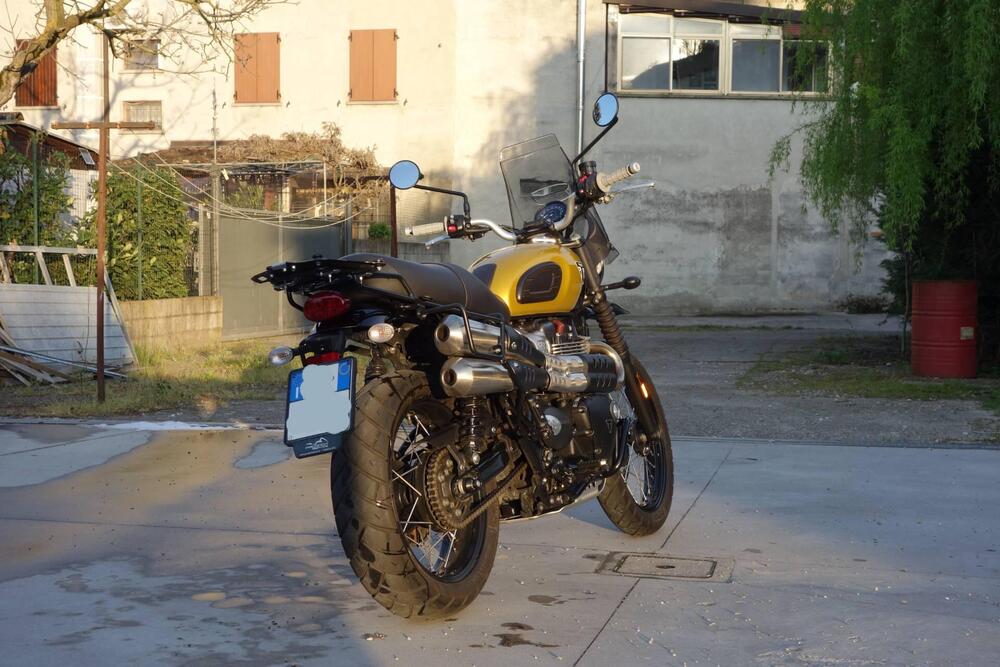 Triumph Street Scrambler 900 (2017 - 18) (9)