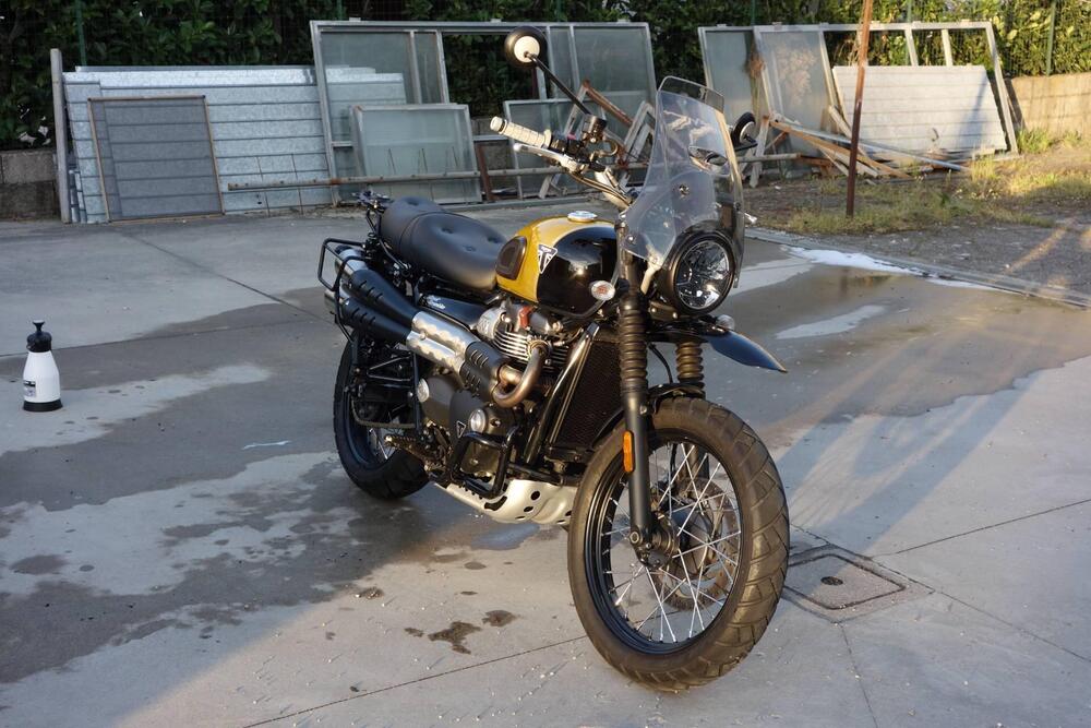 Triumph Street Scrambler 900 (2017 - 18) (10)