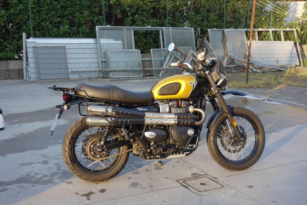 Triumph Street Scrambler 900 (2017 - 18) (13)