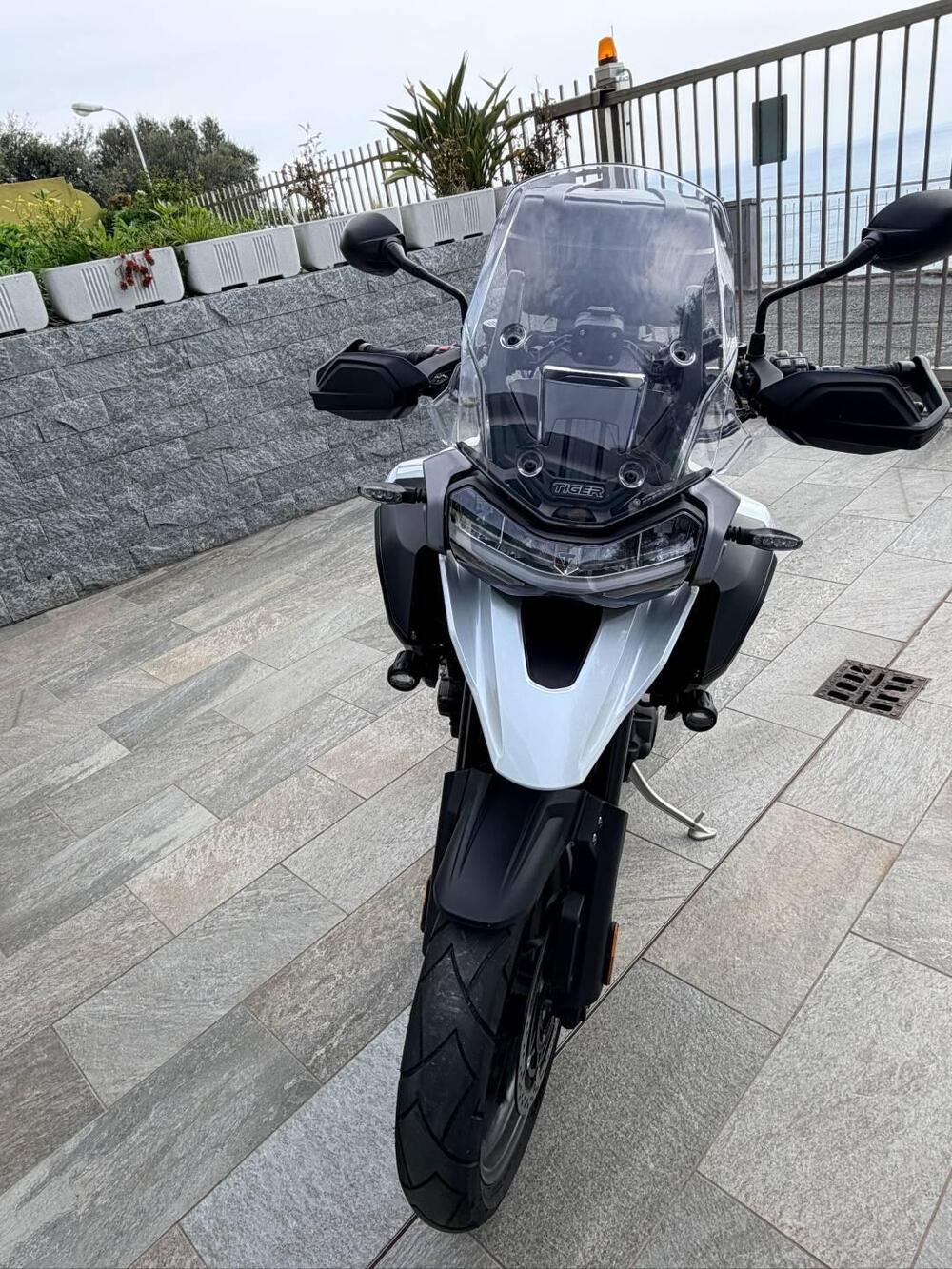 Triumph Tiger 1200 GT Pro (2022 - 23) (3)