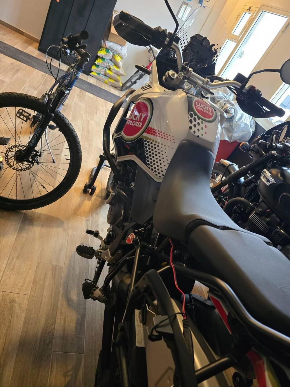 Ducati DesertX (2022 - 25) (7)