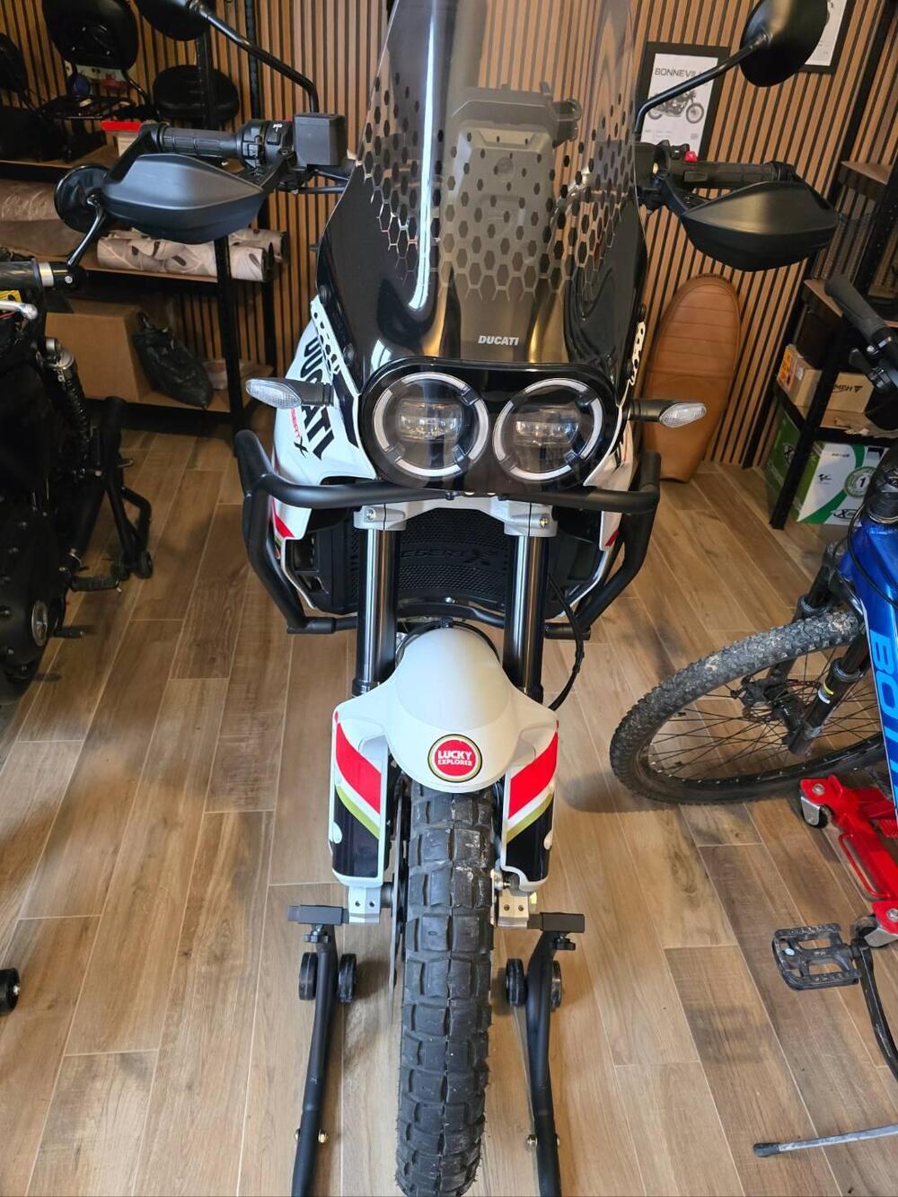 Ducati DesertX (2022 - 25) (10)