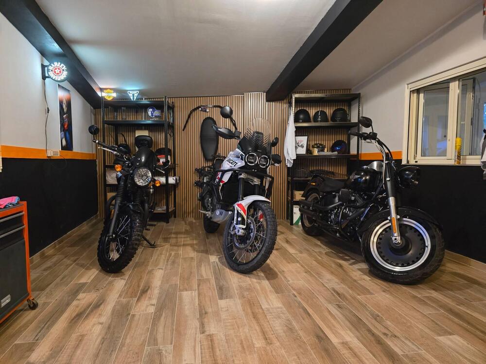 Ducati DesertX (2022 - 25)