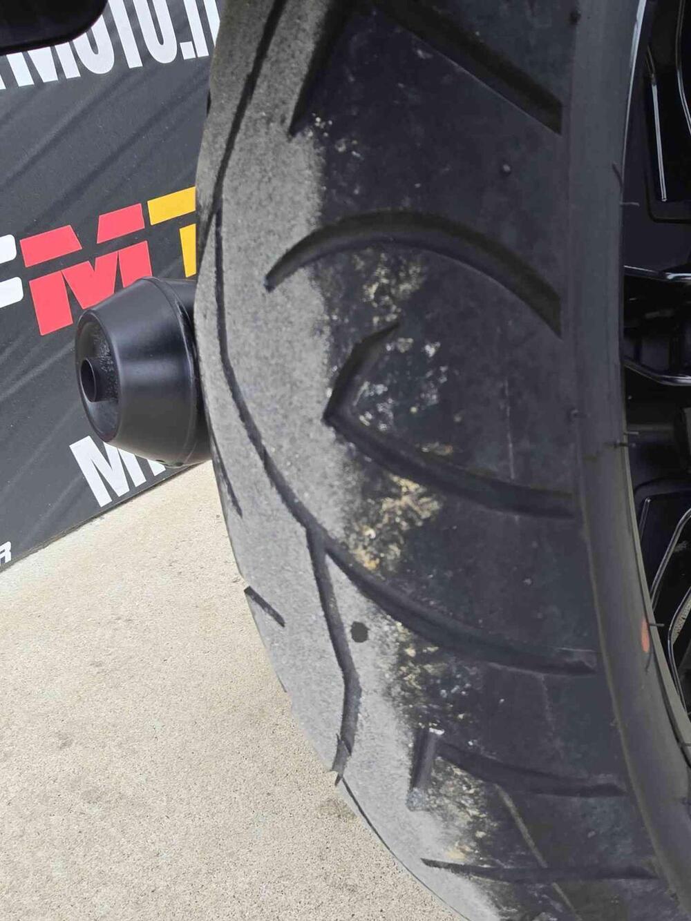 Moto Guzzi V7 Stone (2021 - 24) (15)