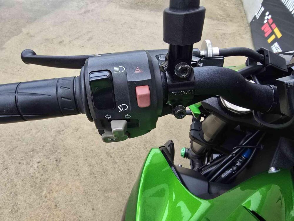 Kawasaki Z 1000 ABS (2014 - 16) (17)