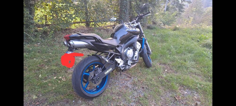 Yamaha FZ6 (2004 - 07) (5)