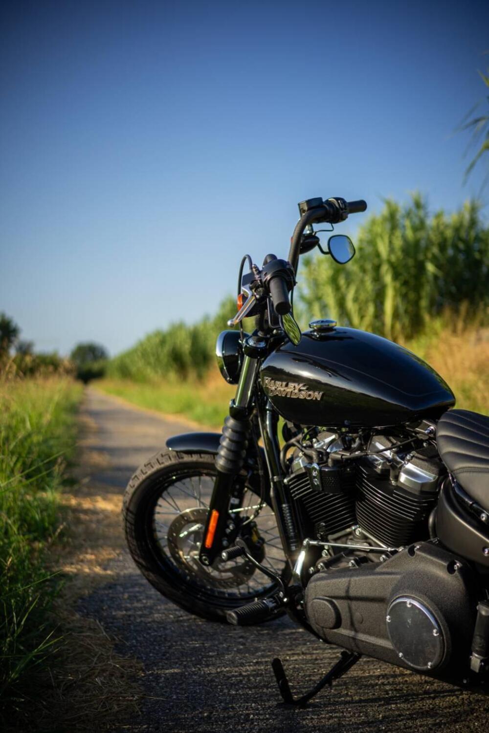 Harley-Davidson 107 Street Bob (2018 - 20) - FXBB (5)