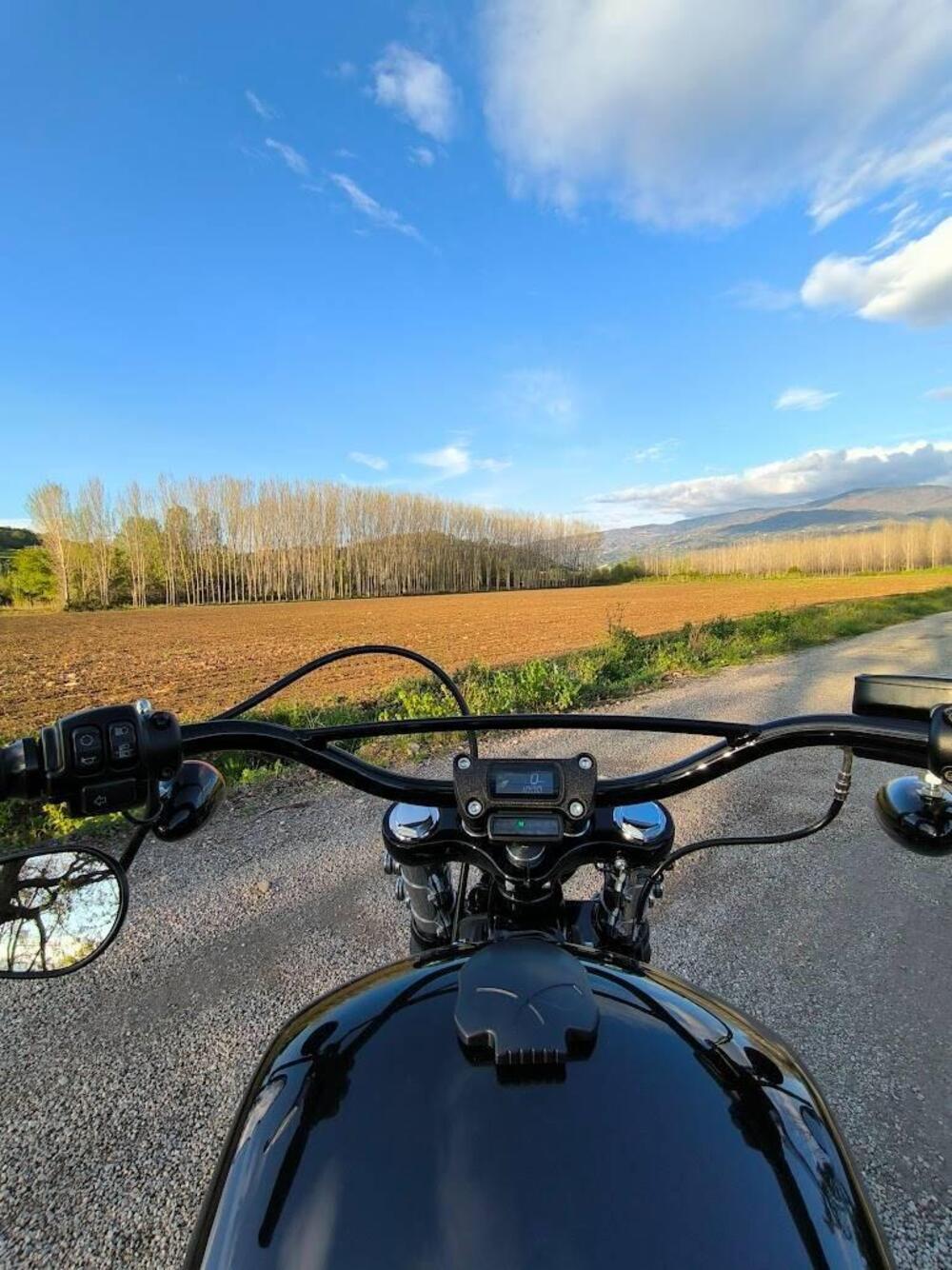 Harley-Davidson 107 Street Bob (2018 - 20) - FXBB (11)