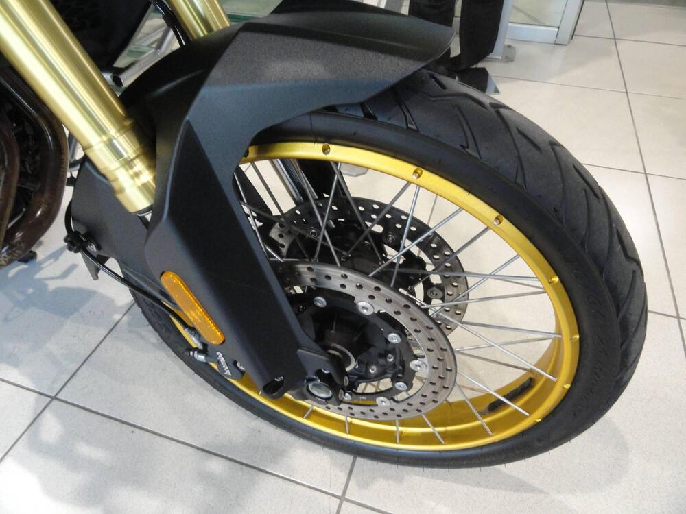 Voge Valico 900DSX (2024 - 26) (4)