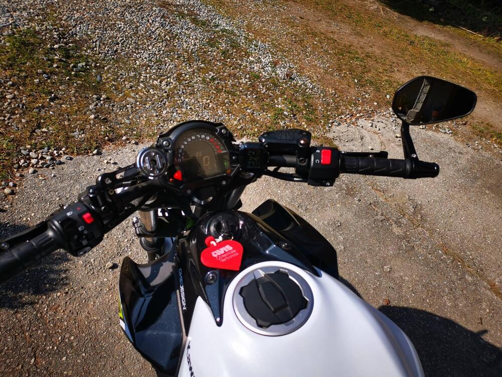 Kawasaki Z 650 (2017 - 19) (16)