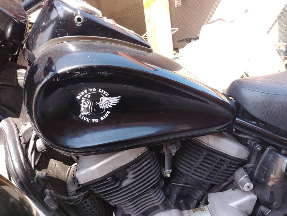 Kawasaki VN 800 Drifter (1999 - 00) (7)