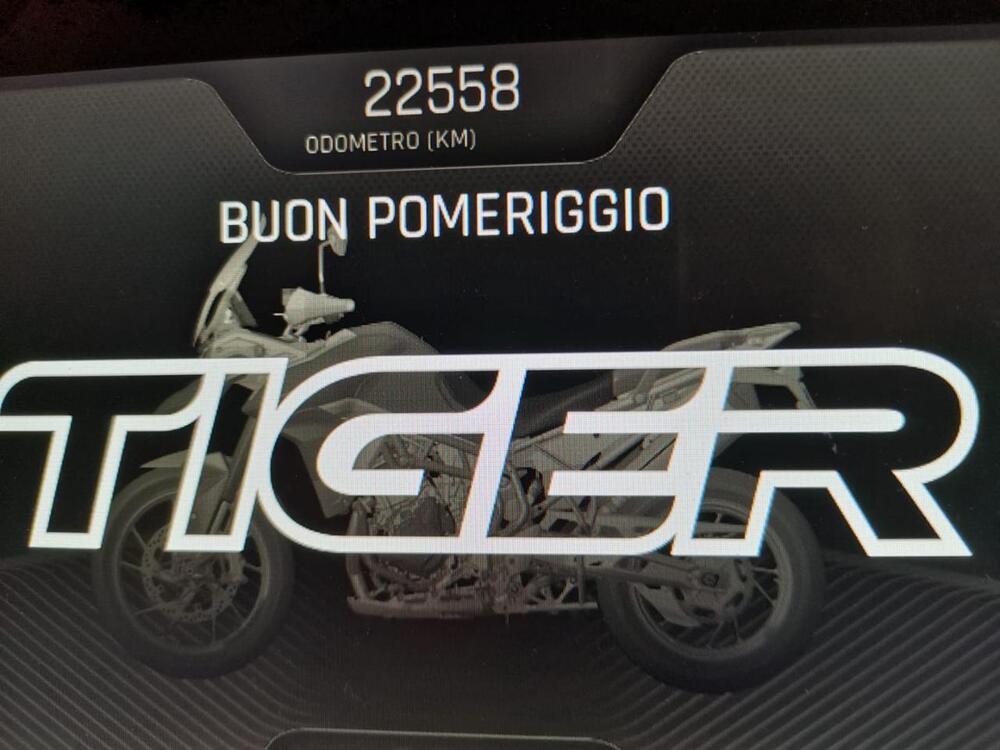Triumph Tiger 900 Rally Pro (2020 - 23) (6)