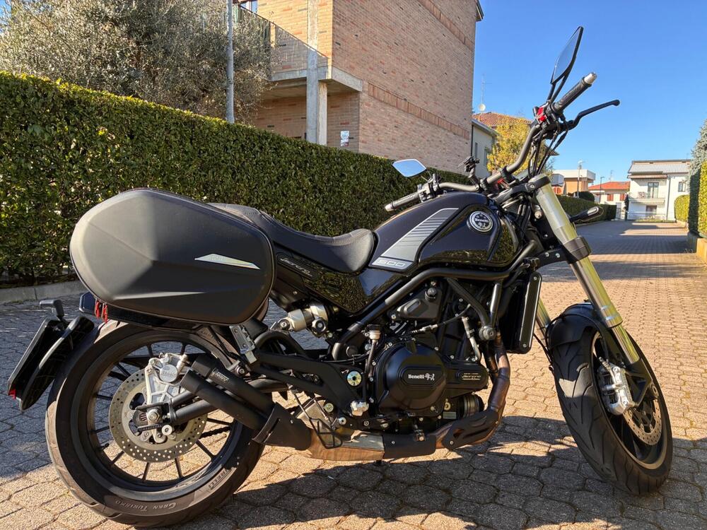 Benelli Leoncino 500 (2021 - 25) (2)