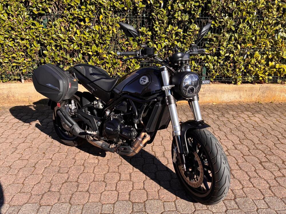 Benelli Leoncino 500 (2021 - 25) (5)