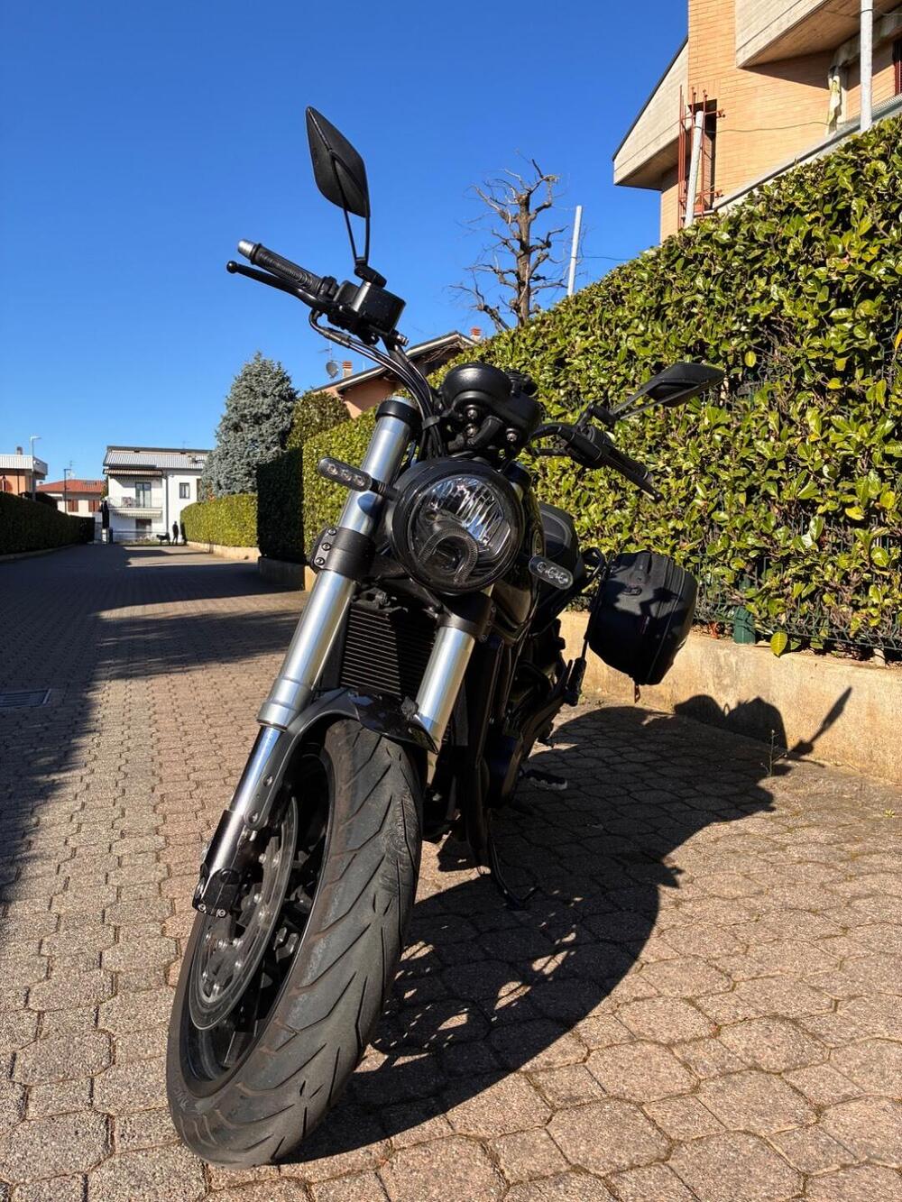 Benelli Leoncino 500 (2021 - 25) (7)