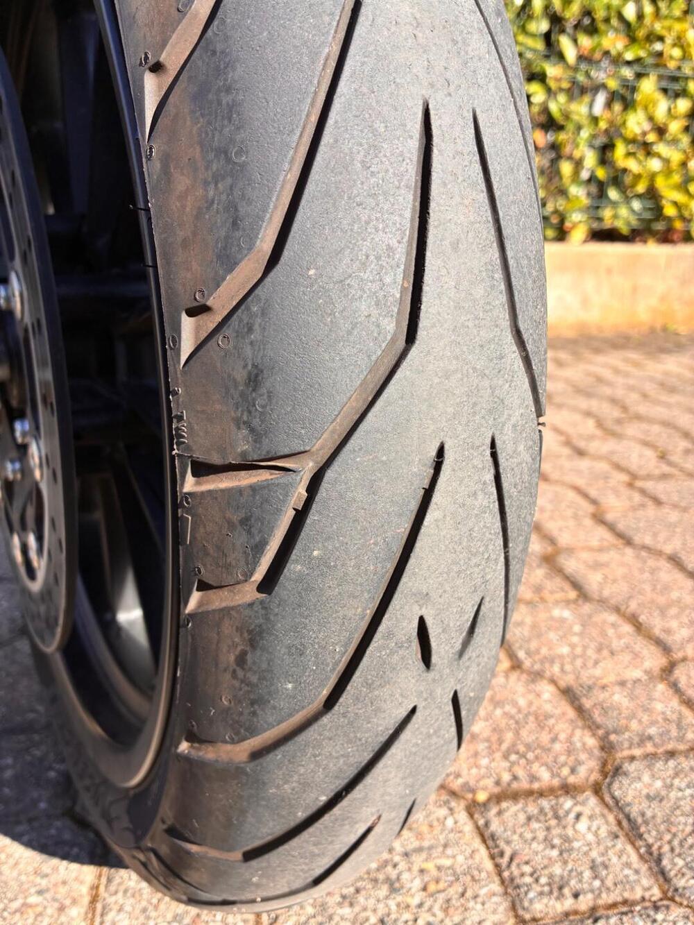 Benelli Leoncino 500 (2021 - 25) (9)