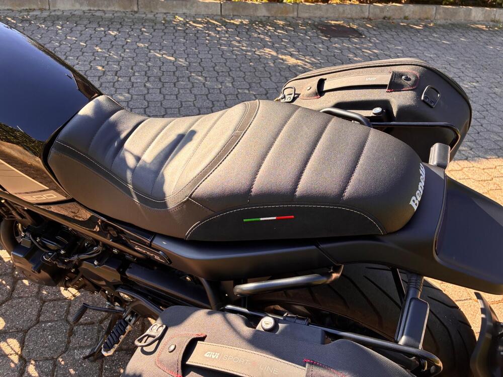 Benelli Leoncino 500 (2021 - 25) (10)