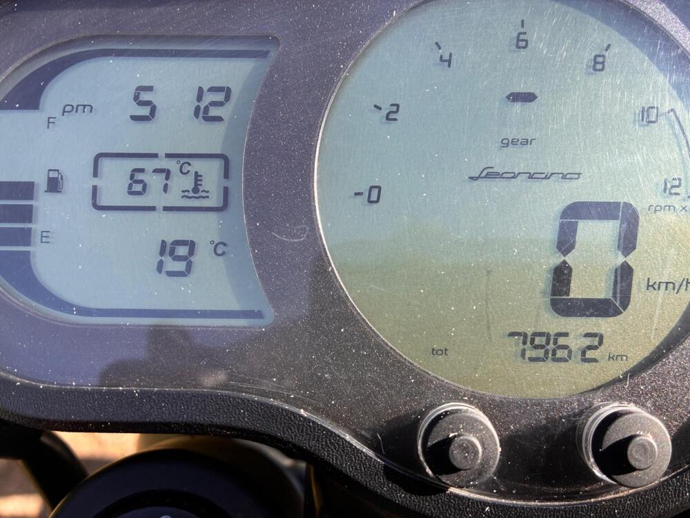 Benelli Leoncino 500 (2021 - 25) (11)