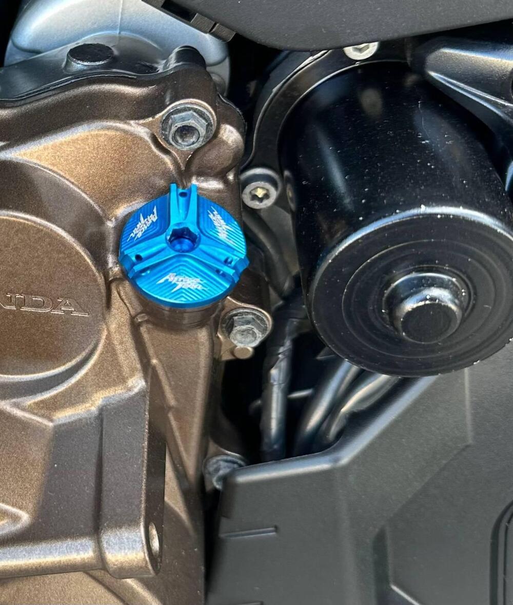 Honda Africa Twin CRF 1100L DCT (2020 - 21) (6)