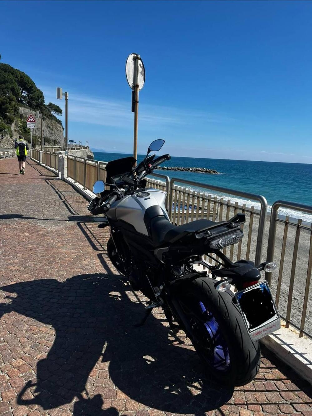 Yamaha Tracer 900 ABS (2015 - 16) (3)