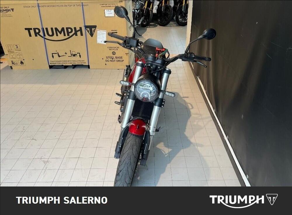 Benelli Leoncino 500 (2021 - 25) (3)