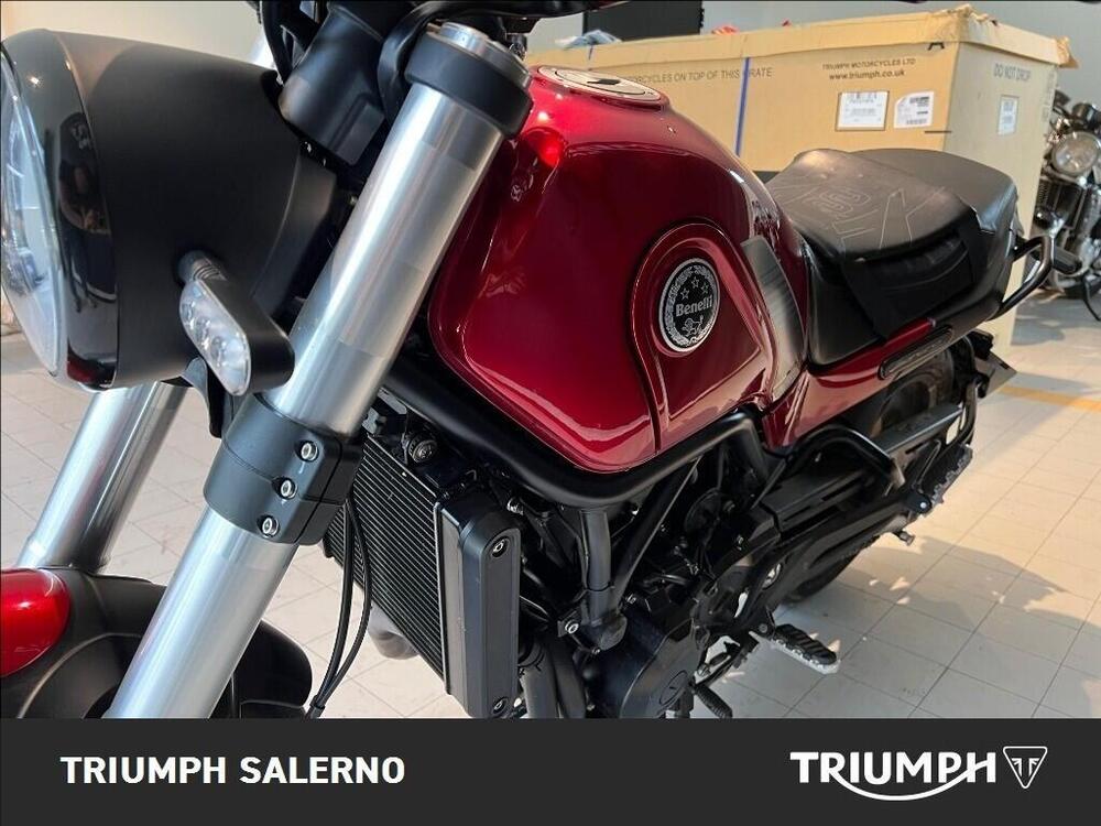 Benelli Leoncino 500 (2021 - 25) (4)