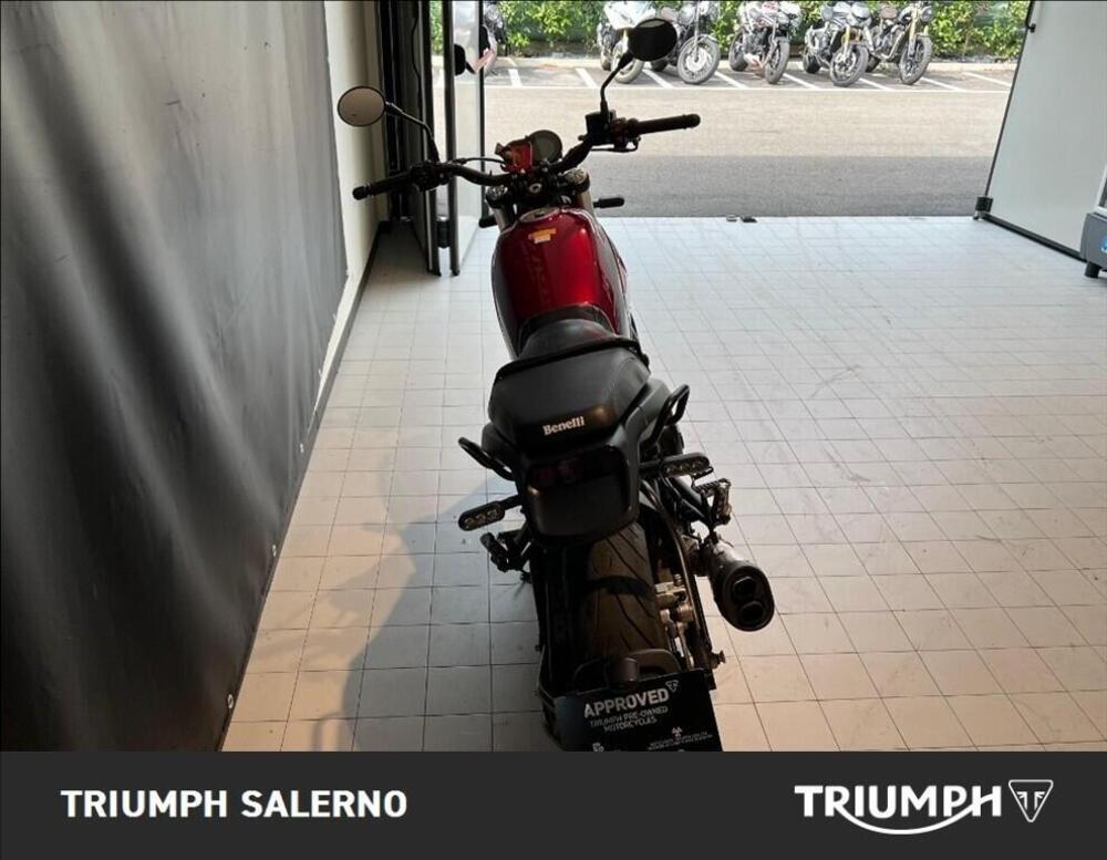 Benelli Leoncino 500 (2021 - 25) (6)