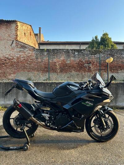 Kawasaki Ninja 500 (2024 - 26) usata