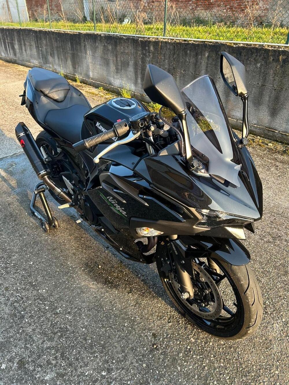 Kawasaki Ninja 500 (2024 - 26) (4)