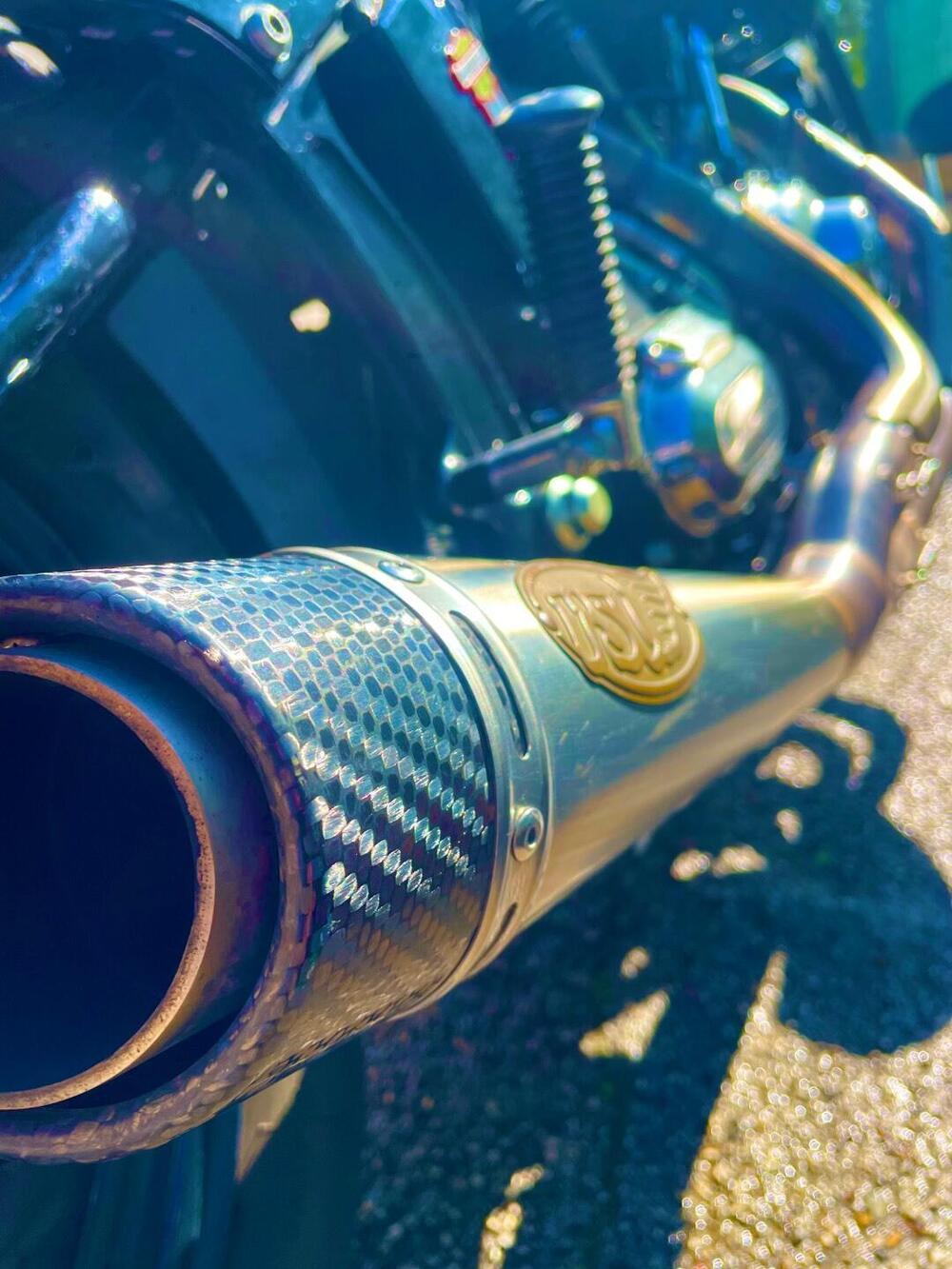 Harley-Davidson 1584 Cross Bones (2008 - 11) - FLSTSB (18)