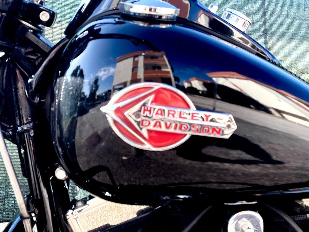 Harley-Davidson 1584 Cross Bones (2008 - 11) - FLSTSB (19)