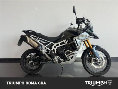 Triumph Tiger 900 Rally Pro (2024 - 26) usata