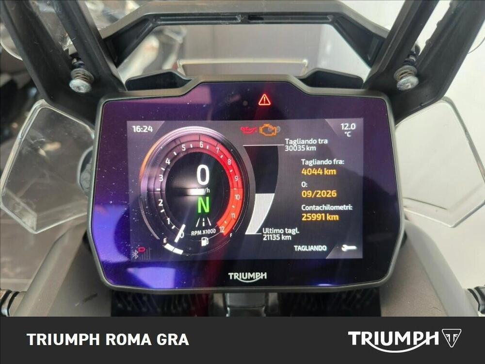 Triumph Tiger 900 Rally Pro (2024 - 26) (4)