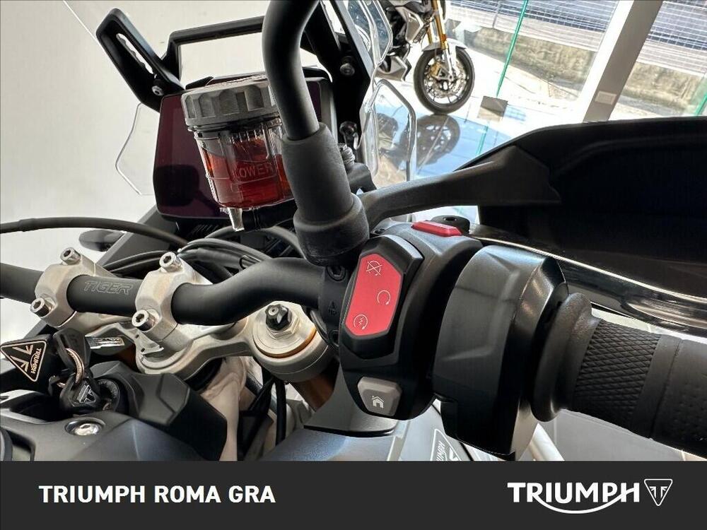 Triumph Tiger 900 Rally Pro (2024 - 26) (13)