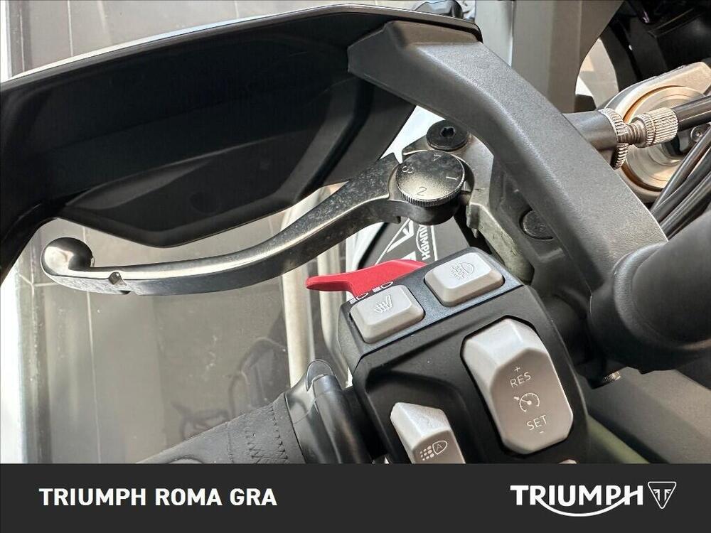 Triumph Tiger 900 Rally Pro (2024 - 26) (11)