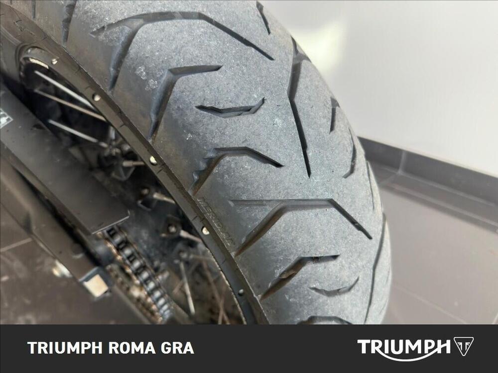Triumph Tiger 900 Rally Pro (2024 - 26) (16)
