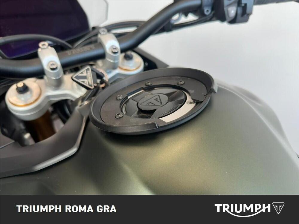 Triumph Tiger 900 Rally Pro (2024 - 26) (15)