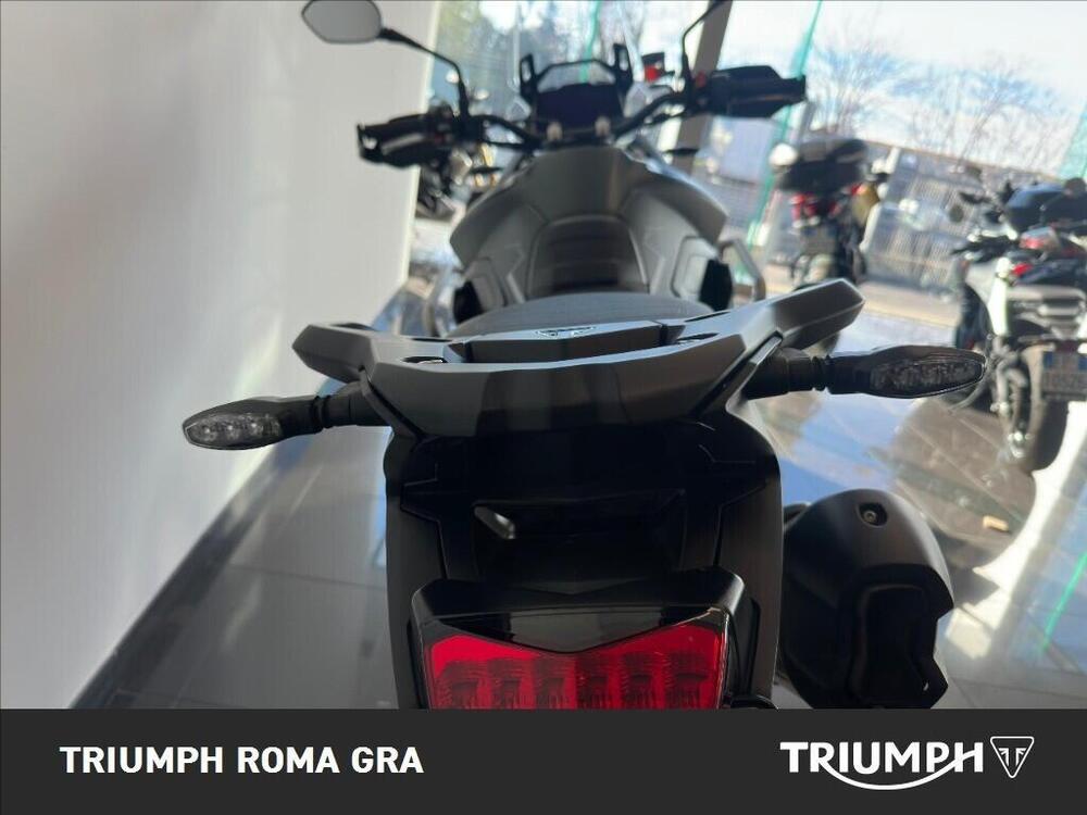 Triumph Tiger 900 Rally Pro (2024 - 26) (12)