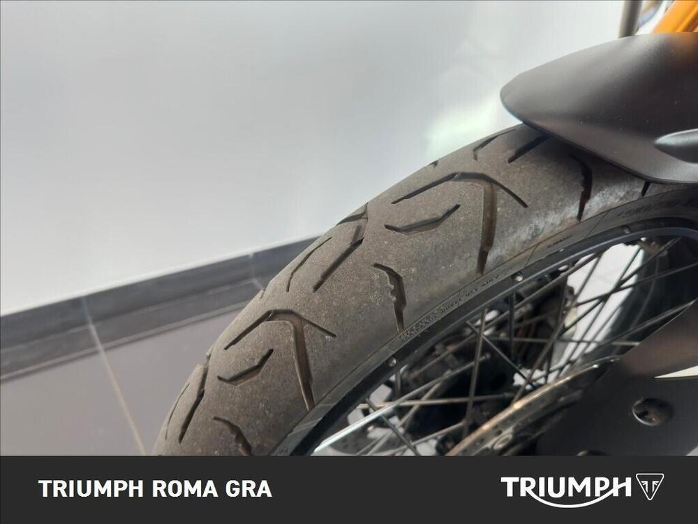 Triumph Tiger 900 Rally Pro (2024 - 26) (17)