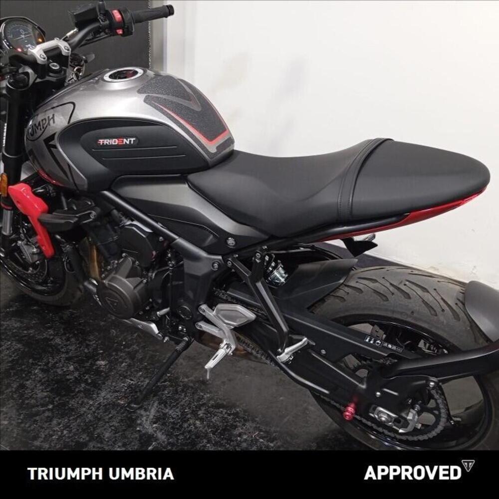 Triumph Trident 660 (2021 - 24) (3)